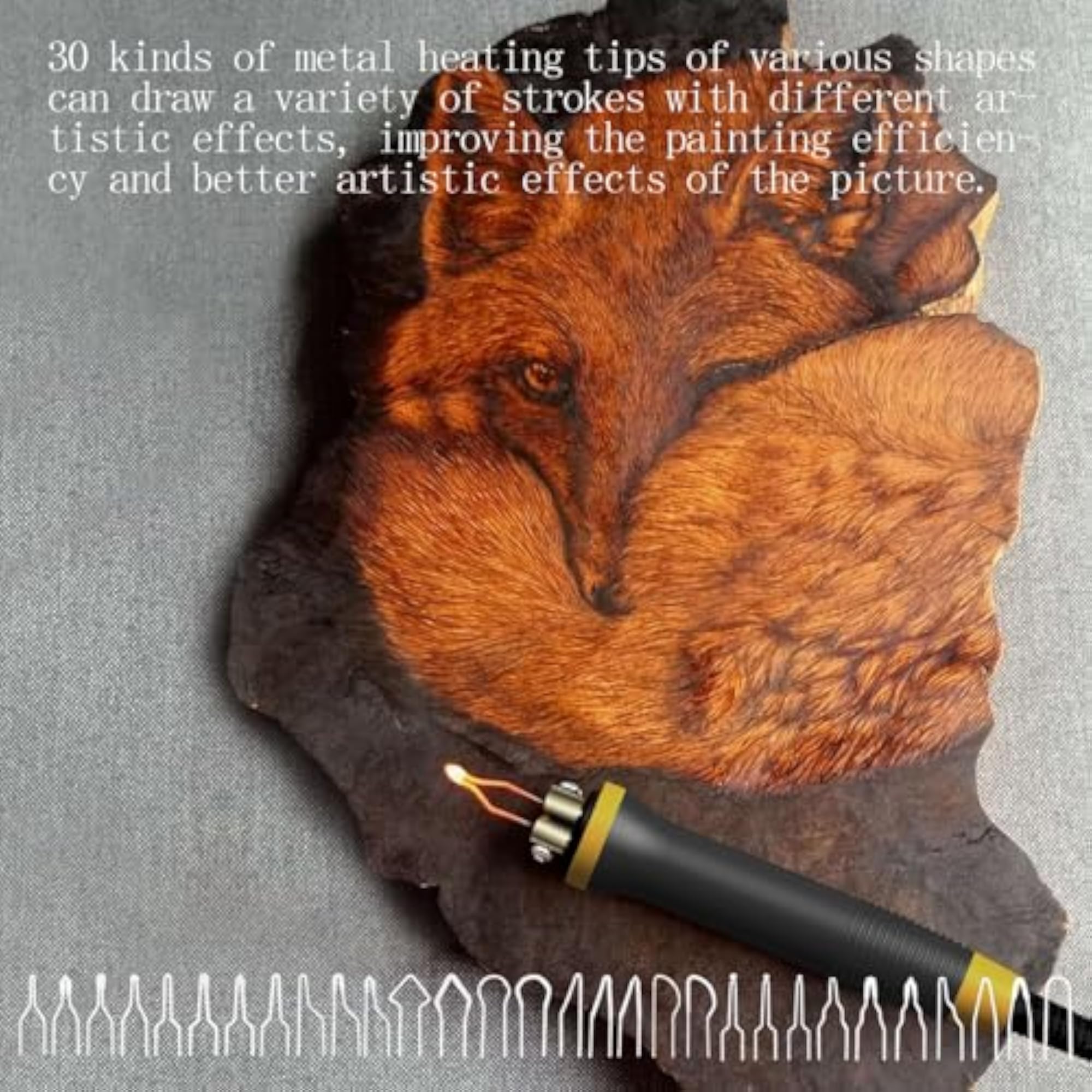 Professional Wood Burning Pyrography Kit